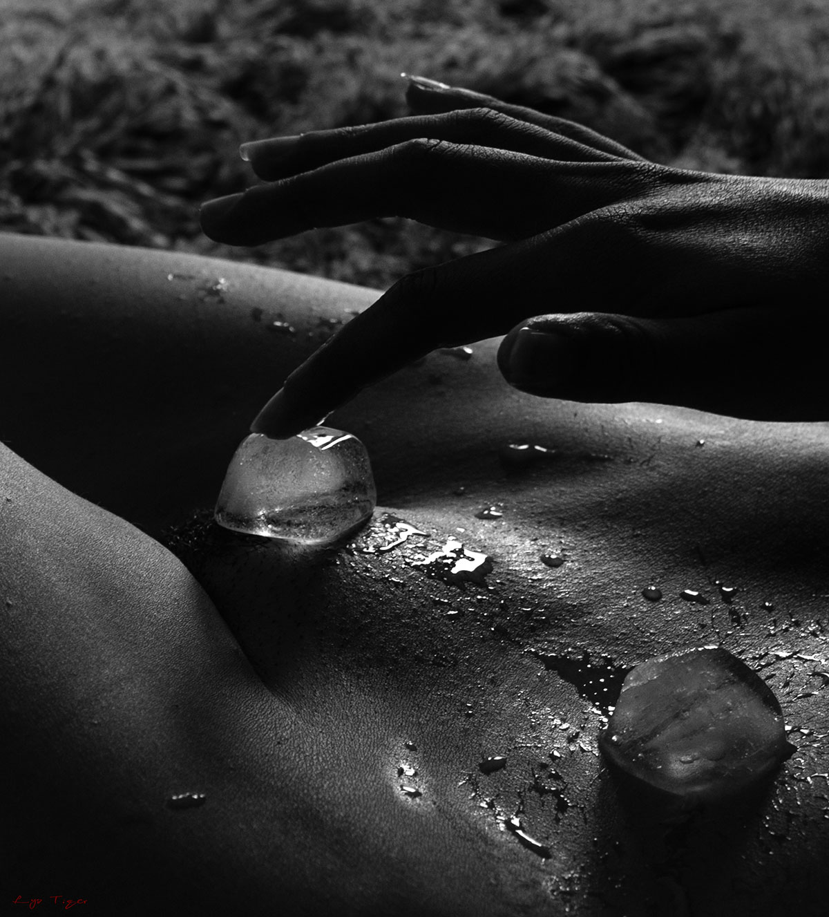 Lys Tiger jeune femme photographe de nu