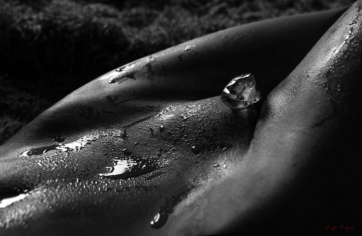 Lys Tiger jeune femme photographe de nu