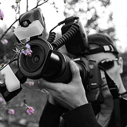 Photographe de Nu Artistique au Naturel installé à Limoges.
